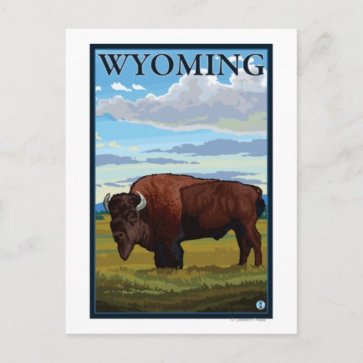 Bison SceneWyomingVintage Travel Poster Postkarte (Vorderseite)