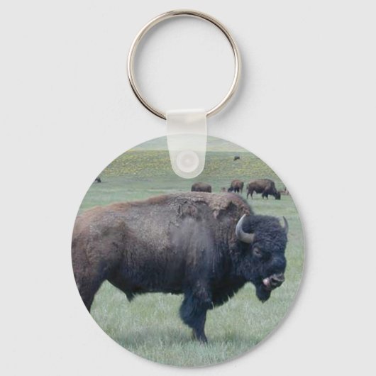 Bison Schlüsselanhänger (Vorderseite)