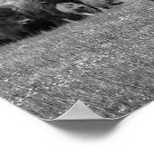 Bison Schwarz-weiß Cabin Farmhouse Style Moderne Poster (Ecke)