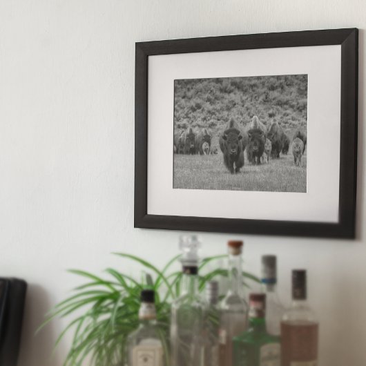 Bison Schwarz-weiß Cabin Farmhouse Style Moderne Poster