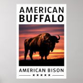 Bison-Silhouette bei Sonnenuntergang Poster (Vorne)
