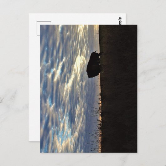 Bison Silhouette Postcard Postkarte (Vorne/Hinten)