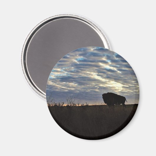 Bison Silhoutte Magnet (Vorderseite/Rückseite)