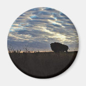 Bison Silhoutte Magnet (Vorne)