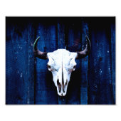 Bison Skull Fotodruck (Vorne)