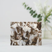 Bison skulls postkarte (Stehend Vorderseite)