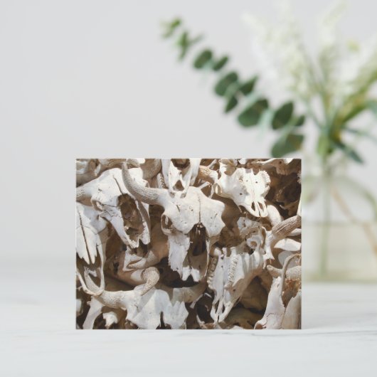 Bison skulls postkarte (Stehend Vorderseite)