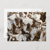 Bison skulls postkarte (Vorne/Hinten)