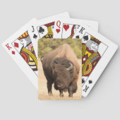 Bison Spielkarten (Rückseite)