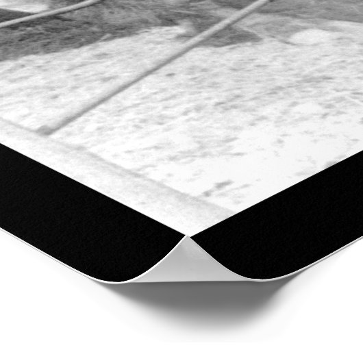 Bison Staring bei Kindern 1899 Poster (Ecke)