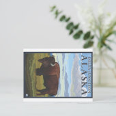 Bison-Szene - Delta Junction, Alaska Postkarte (Stehend Vorderseite)