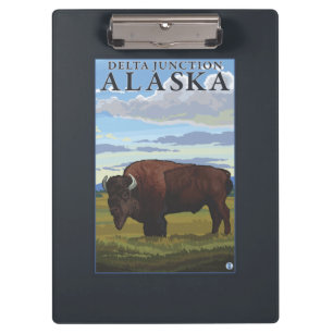 Bison-Szene - Deltakreuzung, Alaska Klemmbrett