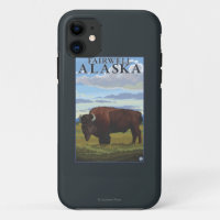 Bison-Szene - Fairwell, Alaska