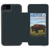 Bison-Szene - Fairwell, Alaska Incipio iPhone Geldbeutel-Hülle (Folio Geöffnet)