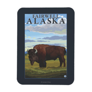 Bison-Szene - Fairwell, Alaska Magnet