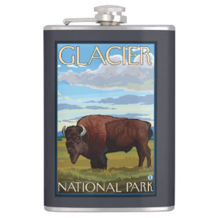 Bison-Szene - Glacier Nationalpark, M.Ü. Flachmann