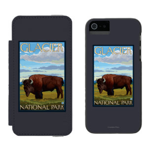 Bison-Szene - Glacier Nationalpark, M.Ü. Incipio Watson™ iPhone 5 Geldbörsen Hülle