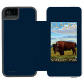 Bison-Szene - Glacier Nationalpark, M.Ü. Incipio iPhone Geldbeutel-Hülle (Folio Geöffnet)