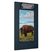 Bison-Szene - Glacier Nationalpark, M.Ü. Klemmbrett (Rechts)