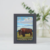 Bison-Szene - Glacier Nationalpark, M.Ü. Postkarte (Stehend Vorderseite)