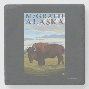Bison-Szene - McGrath, Alaska Steinuntersetzer