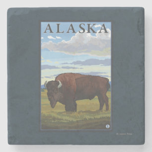 Bison-Szenen-Vintages Reise-Plakat Steinuntersetzer