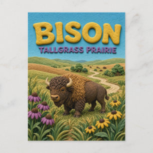 Bison Tallgrass Prairie Moderne KlayKoo Postkarte