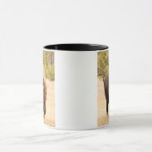 Bison Tasse (Zentrum)