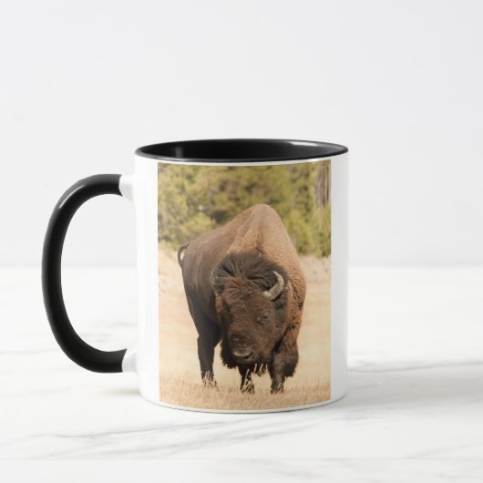 Bison Tasse (Links)