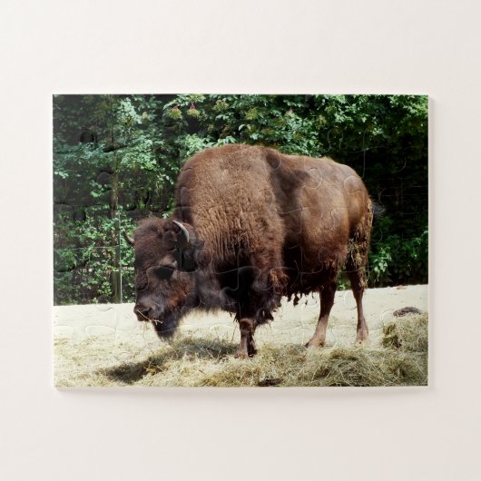 Bison-Tier Puzzle (Horizontal)