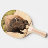 Bison Tischtennis Schläger (Seitenansicht)