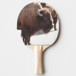 Bison Tischtennis Schläger