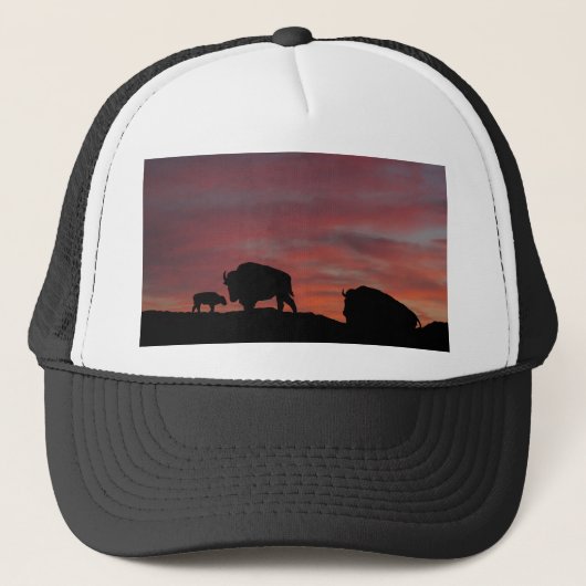 Bison Truckerkappe (Vorderseite)