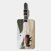 Bison und alt treu gepäckanhänger (Vorderseite vertikal)