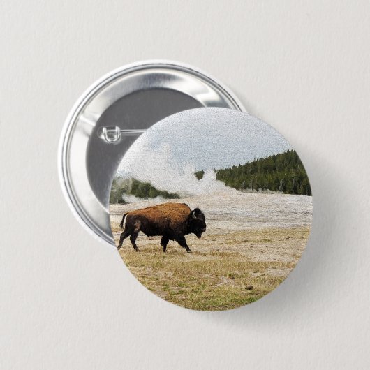 Bison und altes zuverlässiges button (Vorne & Hinten)