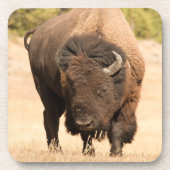 Bison Untersetzer (Vorderseite)