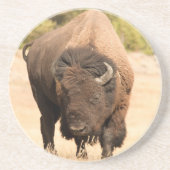 Bison Untersetzer (Vorne)