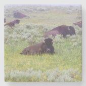 Bison-Untersetzer Steinuntersetzer (Vorderseite)