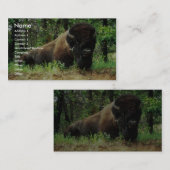 Bison Visitenkarte (Vorne/Hinten)