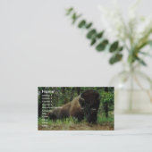 Bison Visitenkarte (Stehend Vorderseite)
