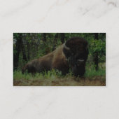 Bison Visitenkarte (Rückseite)
