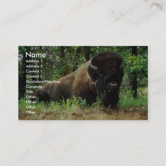 Bison Visitenkarte (Vorderseite)