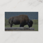 Bison Visitenkarte (Rückseite)