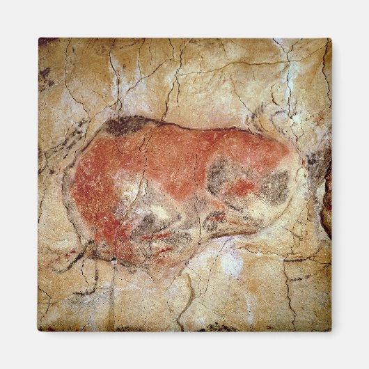 Bison von den Altamira-Höhlen Magnet (Vorne)