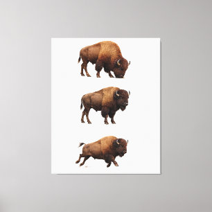 Bison-Wildlife-Wandkunstplakat Leinwanddruck
