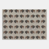 Bison Wrapping Paper Flat Sheet Set 3 Geschenkpapier Set (Vorderseite 2)