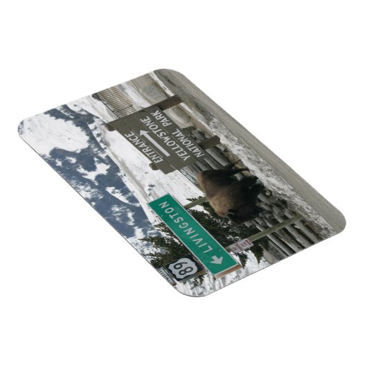 BIson, Yellowstone-Eingang, Gardiner, MT Magnet (Rechte Seite)