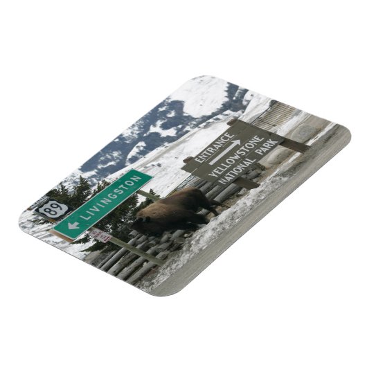 BIson, Yellowstone-Eingang, Gardiner, MT Magnet (Linke Seite)