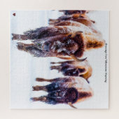 Bison Yellowstone Wyoming Jigsaw Puzzle (Horizontal)
