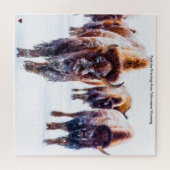 Bison Yellowstone Wyoming Jigsaw Puzzle (Horizontal)